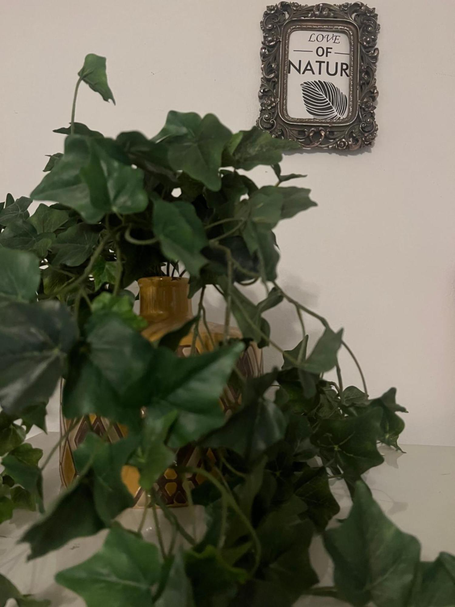Lamda Vintage Appartment Athen Eksteriør billede